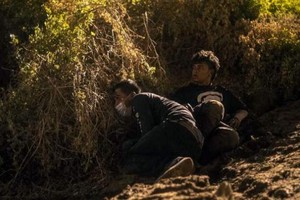 隨第三波大篷車隊抵達美墨邊界的薩爾瓦多移民，從聖地牙哥邊牆下挖洞熘進美國，藏身樹叢。（圖源：Getty Images）