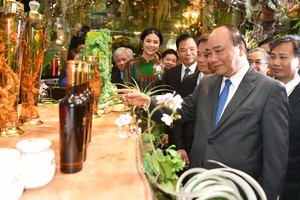 政府總理阮春福參觀玉靈參陳列室。（圖源：PV）