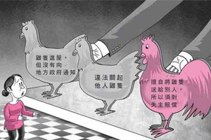 （示意圖源：DAD19）