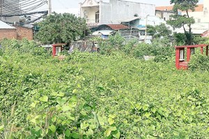墳地區裡的野草、樹木叢生，成為蛇、老鼠和蚊子繁衍的溫床。