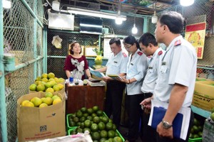 職能力量檢查集散市場的食品安全。（圖源：越通社）
