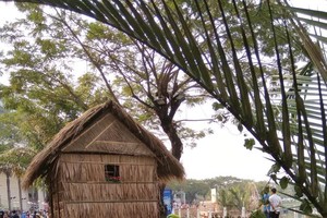 “春路”是吸引眾多遊客流連忘返的區域。