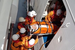 救援隊把患重病的美籍遊客送上岸治療。（圖源：奇楠）