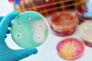 抗生素給人類帶來福音，但濫用抗生素也成為人類的災難。（示意圖源：Getty Images）