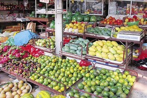 大量南部水果銷往北部。（示意圖源：互聯網）