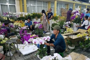 不少花店要加夜班以滿足大量訂單的需求。（圖源：阮智）