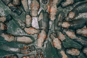 冠軍：非洲坦桑尼亞，沐浴中的河馬。Zekedrone