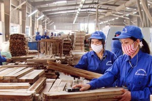 中國木企轉移越南。（示意圖源：互聯網）