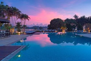 為順化旅遊業添磚加瓦