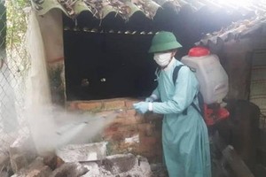 太平省進行消毒防控非洲豬瘟蔓延。（圖源：慶玲）