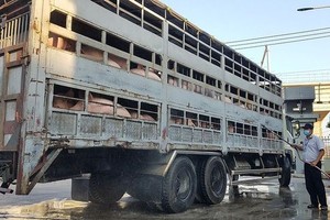 市人委會常務副主席黎清廉：“本市絕對不得發生疫情。（示意圖源：互聯網）