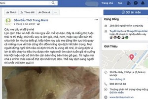 圖為媽咪時尚孕婦裝臉書粉絲專頁散佈的失實資訊。（圖源：粉絲專頁截圖）