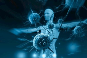 新研究：量化免疫「年齡」可預測死亡風險。（示意圖源：互聯網）