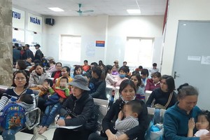 北寧省清康幼兒園的320多名學生於昨(15)日蜂擁來到河內以進行血液和糞便檢驗，尋找絛蟲抗體。（圖源：玉秀）