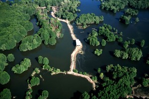 圖為本市芹耶縣的世界生物圈保護區一瞥。（圖源：Vietnam Forestry）