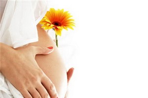 （示意圖源：互聯網）