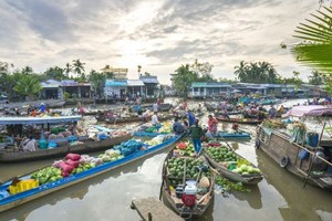 與越捷一道遊覽芹苴、雲屯、富國島風光
