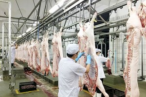 工業屠宰豬肉能確保肉品的新鮮和衛生安全。