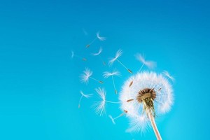 （示意圖源：互聯網）