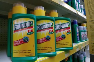 圖為含有草甘膦(glyphosate)成份的RoundUp牌除草劑。（圖源：路透社）