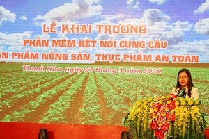 清化省人委會副主席黎氏辰在儀式上致詞。（圖源：春義）