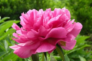 （示意圖源：互聯網）