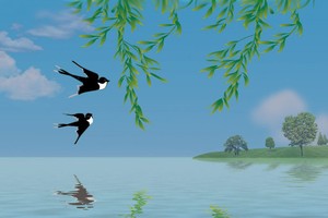 （示意圖源：互聯網）