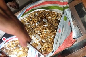 刑事警察科已把49億7500萬元和225兩黃金交還K.H.P金舖主人。（圖源：公安機關提供）