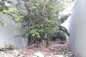 偷竊８隻鴨和蓄意傷人的案件現場現在是一塊空置的地段。