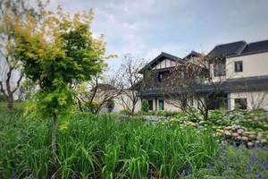 （示意圖源：互聯網）