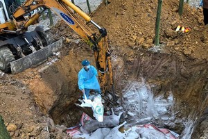 和平省有關部門已有效展開撲滅非洲豬瘟措施。（圖源：前鋒）