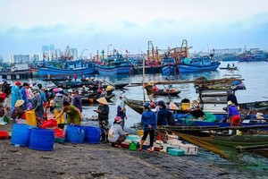 峴港壽光漁港一瞥。（圖源：互聯網）