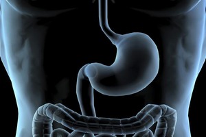 （示意圖源：互聯網）