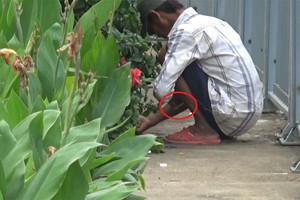 公然在公共場所注射毒品。