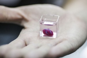 以色列特拉維夫大學打印的心臟。（圖源：互聯網）