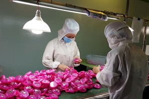 華人企業TBM-明發公司生產塑料盒出口日本市場。