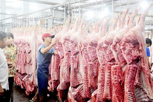 平田集散市場售賣豬肉一瞥。