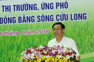 政府副總理王廷惠在論壇上發表講話。（圖源：互聯網）