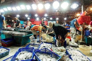 本市若干集散市場的魚肉海產貨源充足，售價不變。（圖源：互聯網）