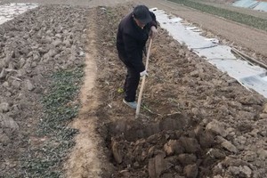 （示意圖源：互聯網）