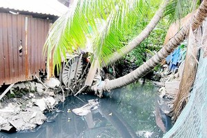 新富郡一條污染渠道。