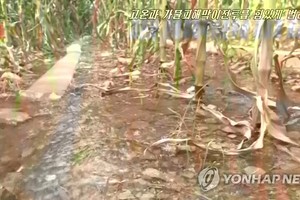 朝鮮農田遭遇嚴重旱災。（圖源：韓聯社）