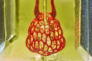 科學家以水凝膠模擬人體血管。（圖源：互聯網）