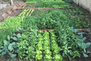 （示意圖源：互聯網）