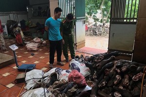 職能力量查獲來歷不明的牛蹄和家畜脾臟。（圖源：光長）