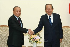 政府常務副總理張和平(右)接見柬埔寨禮儀與宗教部大臣亨柴。（圖源：越通社）