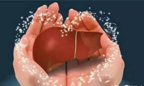 （示意圖源：互聯網）