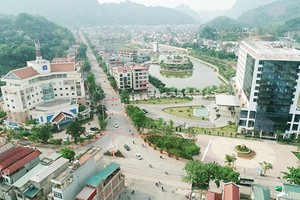 山羅市一瞥。（圖源：輝頑）