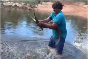 菲茨派翠克徒手捉起淡水鱷。（圖源：互聯網）