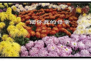 （示意圖源：互聯網）